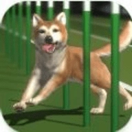 Top Dogs安卓版