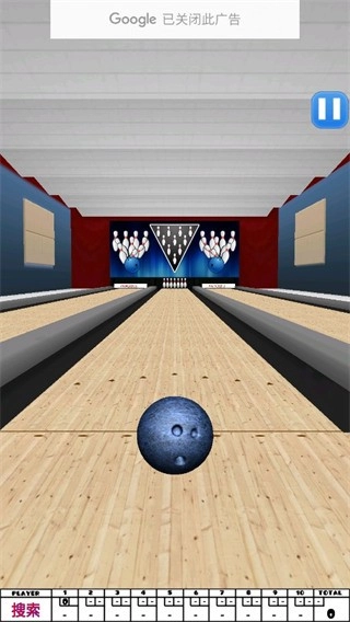 保龄球HD经典版截图2