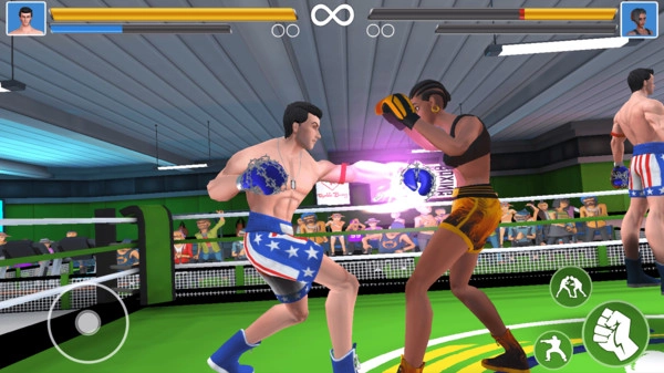 拳击竞技场截图1
