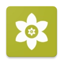 安装狮（Install Lion）