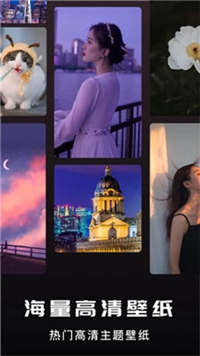 萤火虫壁纸截图1