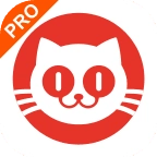 猫眼电影专业版