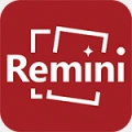 remini油画英语版