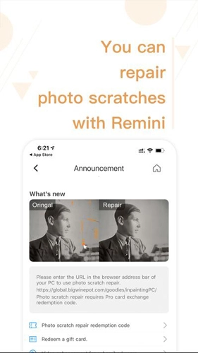 remini油画英语版截图1