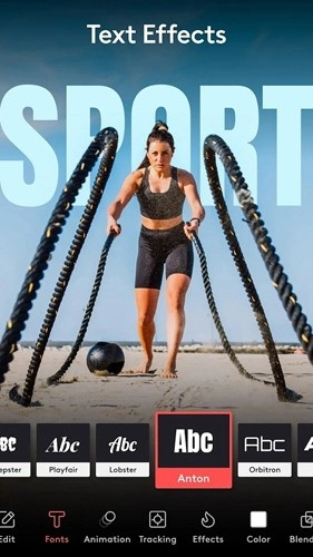 Enlight Videoleap中文版截图1