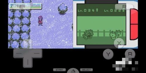 口袋妖怪心金金手指截图2