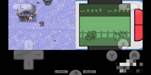 口袋妖怪心金金手指截图3