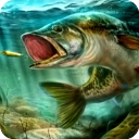 终极钓鱼模拟器(Ultimate Fishing Simulator安装器)无广告版