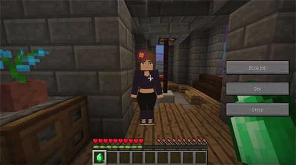 珍妮模组手机版截图2