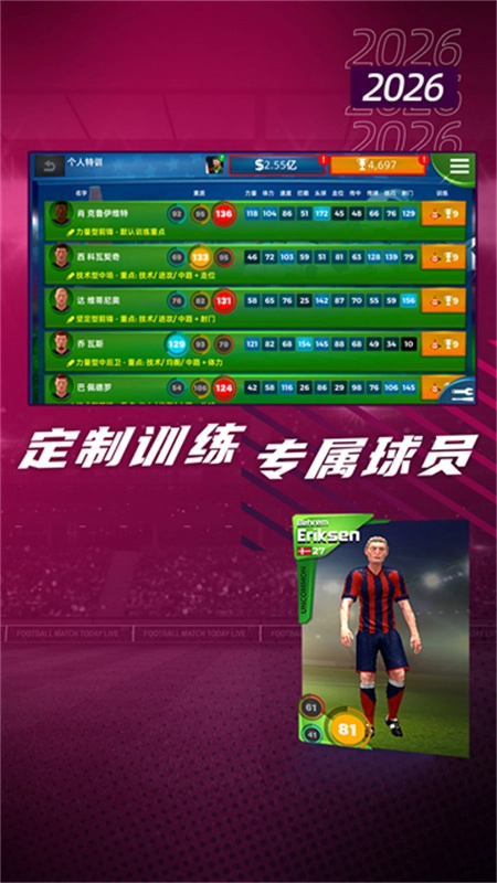 梦幻足球世界汉化版截图1