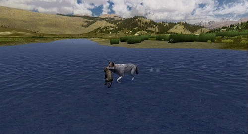 野狼谜踪免费截图2