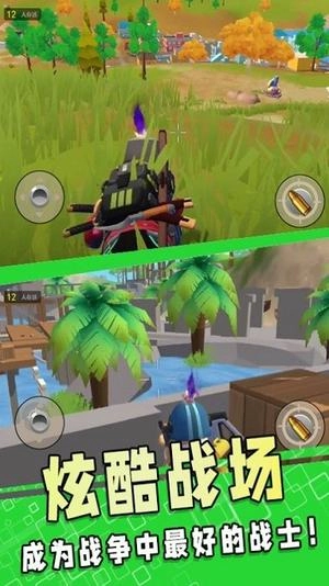 刺激吃鸡之夜截图1