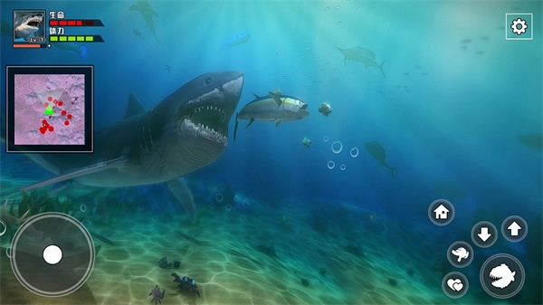饥饿鲨鱼求生截图1
