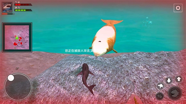 饥饿鲨鱼求生截图2