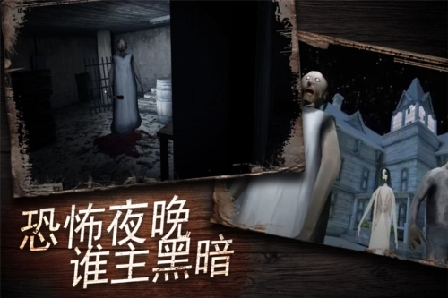 奶奶别追我截图1