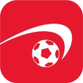 掌上足球专业版