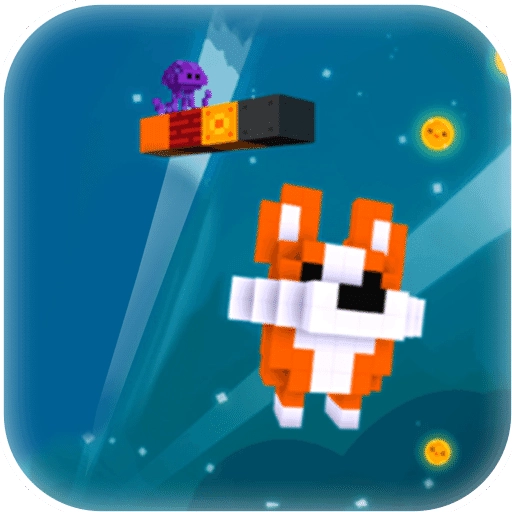 柯基的冒险之路