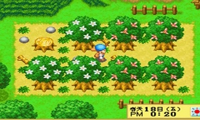 牧场物语精灵驿站安卓版截图3