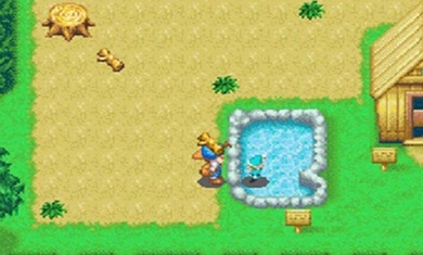 牧场物语精灵驿站安卓版截图1