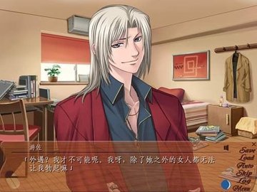 银之冠碧之泪汉化版截图2