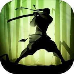 暗影格斗2单机版