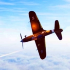 战地1939空战模式免费版