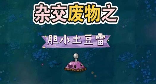 植物大战僵尸废物版截图1