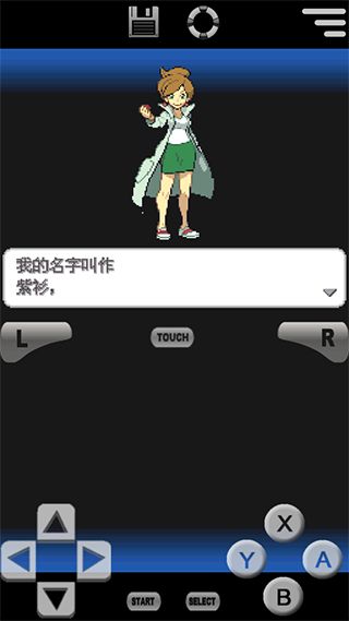 口袋妖怪黑白2中文版截图1