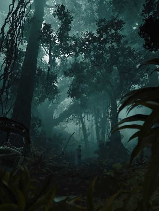 古墓丽影9清白猎人MOD截图1