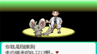 口袋妖怪漆黑的魅影自带金手指截图2