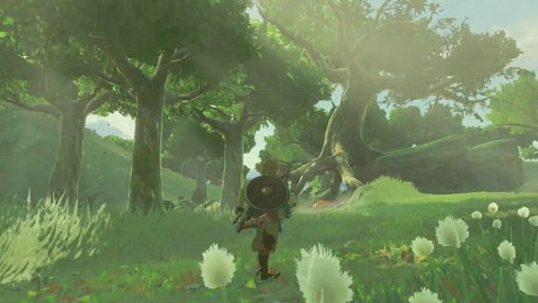 塞尔达传说荒野之息第一人称MOD截图1