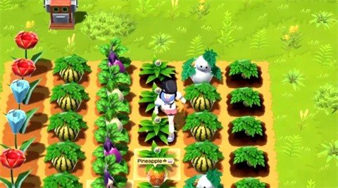 牧场物语甜蜜之家截图2