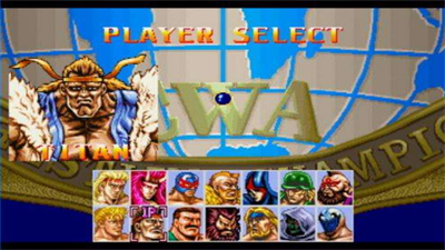 摔角霸王2手机版截图2