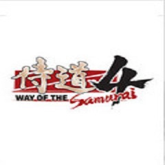 侍道4完美通关存档