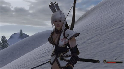 骑马与砍杀火与剑完美修改补丁截图1