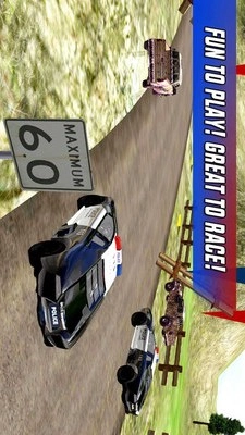 警车越野追逐截图1