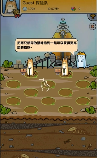 懒洋洋的宝藏猫截图1