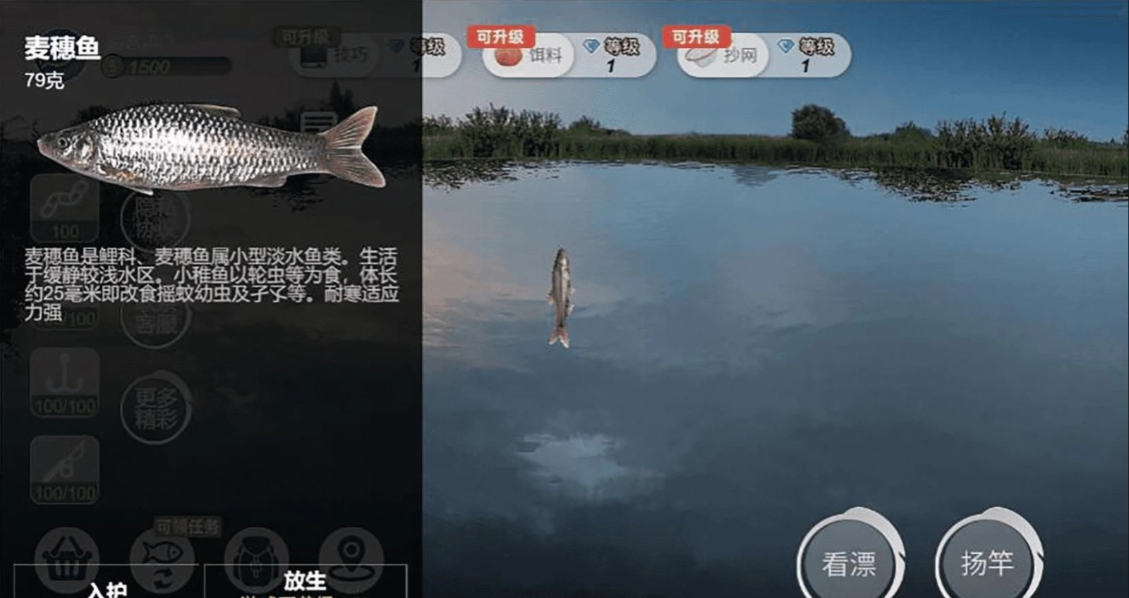 钓鱼绝不空军截图1