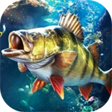 抖音欢乐钓鱼大师