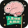 人类烧脑大挑战