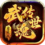 武魂传世密藏版