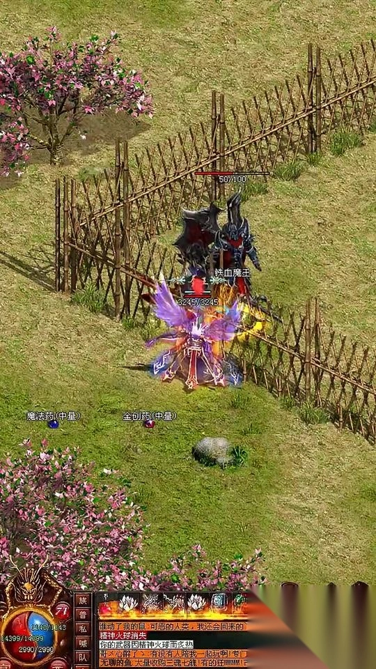 武魂传世密藏版截图1