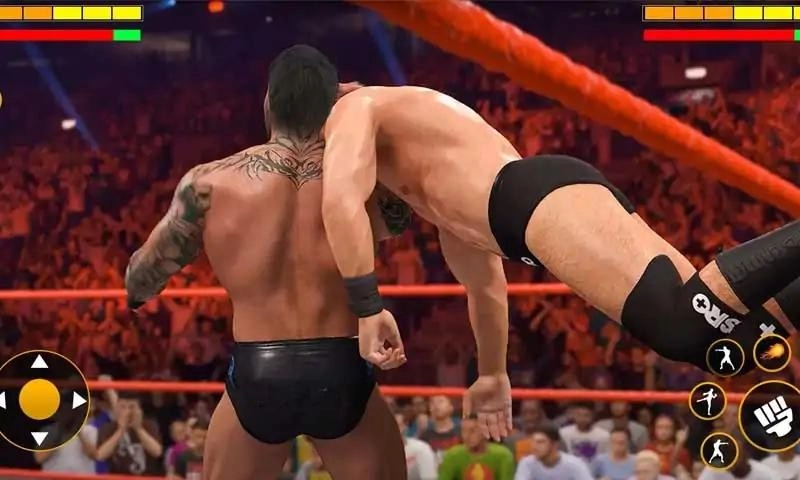 肌肉摔跤格斗截图1