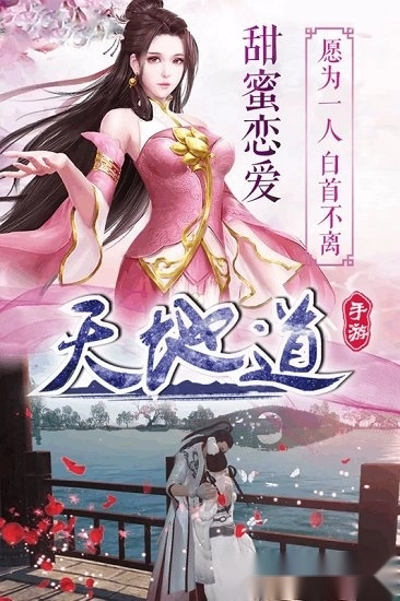 天地道游戏安卓版截图1