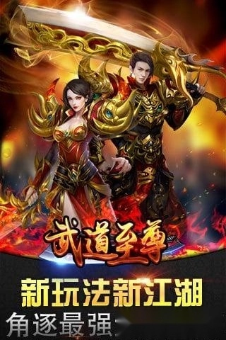 武道至尊游戏安卓版截图1