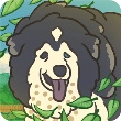老友狗狗游戏