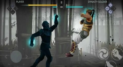 暗影格斗3中文截图1