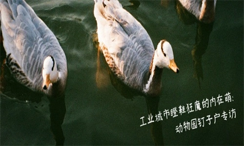 豆瓣音乐软件截图1