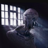 黑暗追捕者联机版