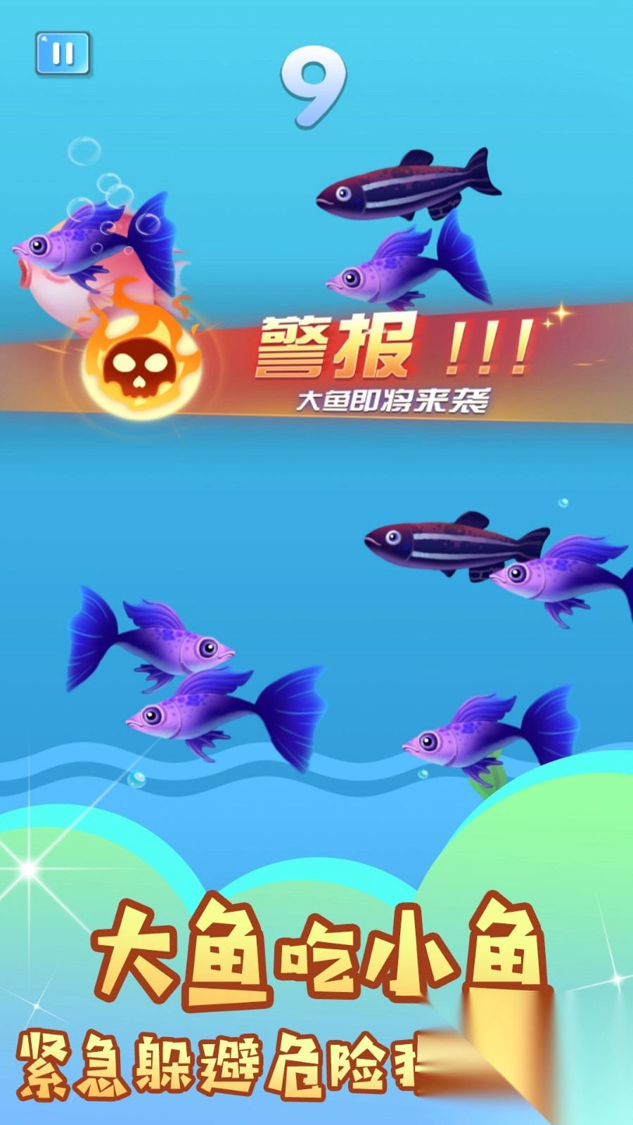 大鱼猎食之旅截图1